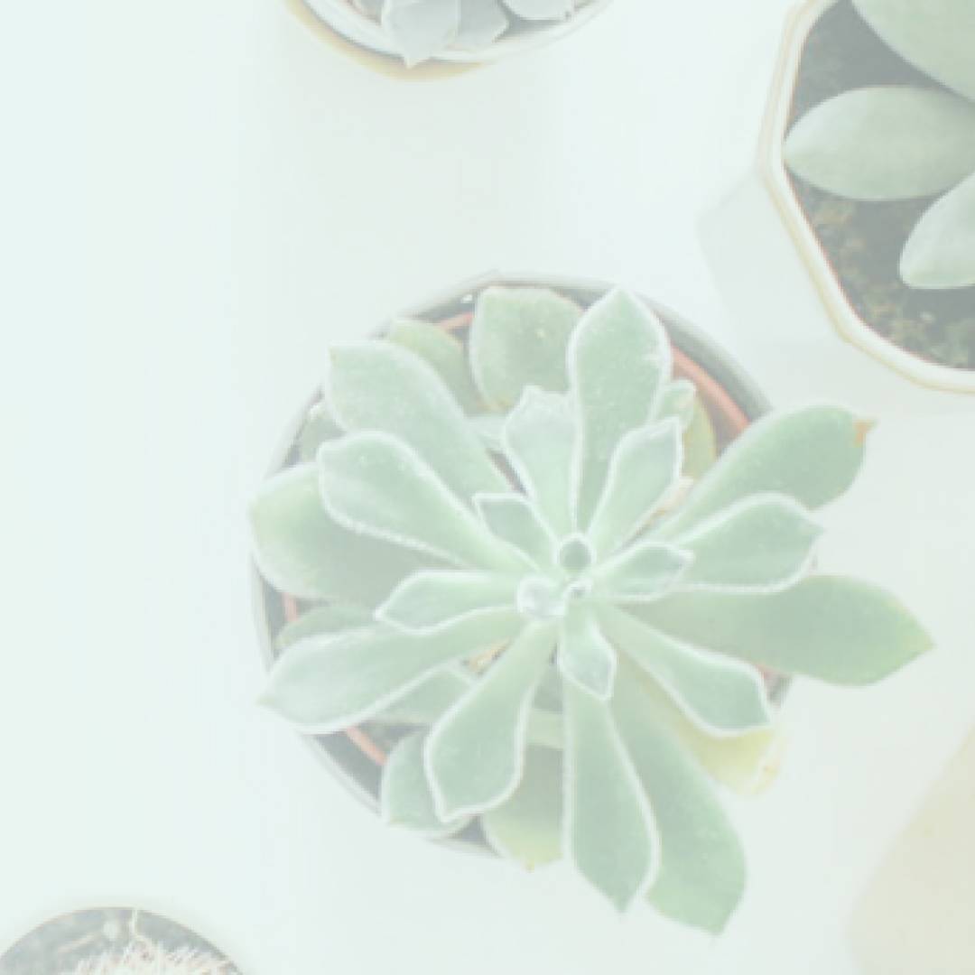 Benessere delle Piante