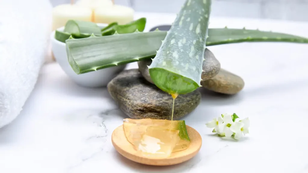 immagine foglie di aloe vera e gel di aloe vera estratto dalla foglia