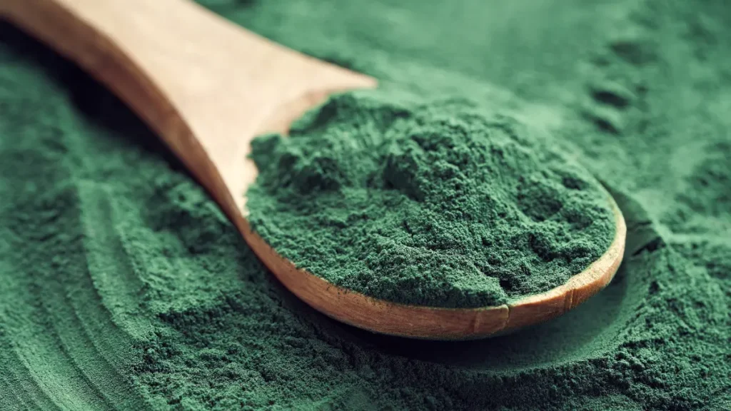 alga spirulina in polvere