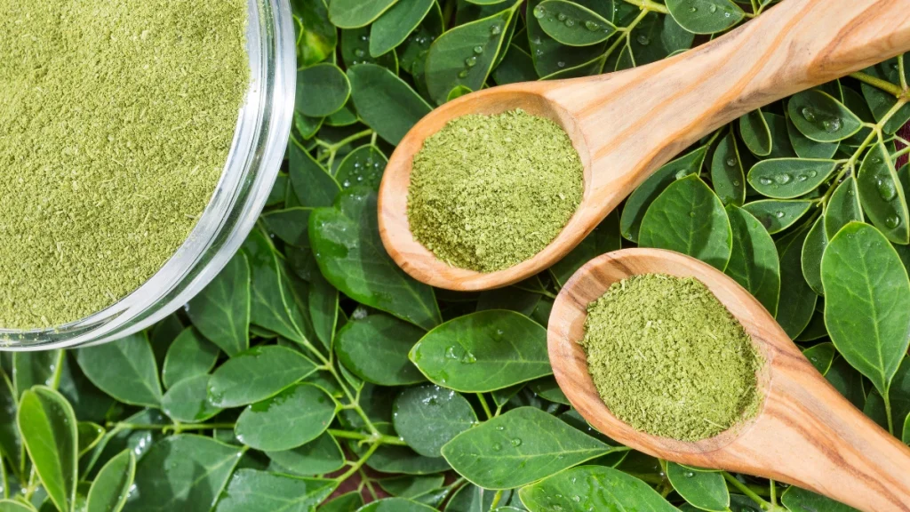 polvere di moringa bio